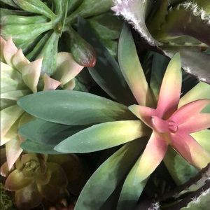 Meet your Posher, Beneta